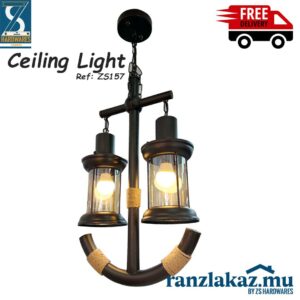Light