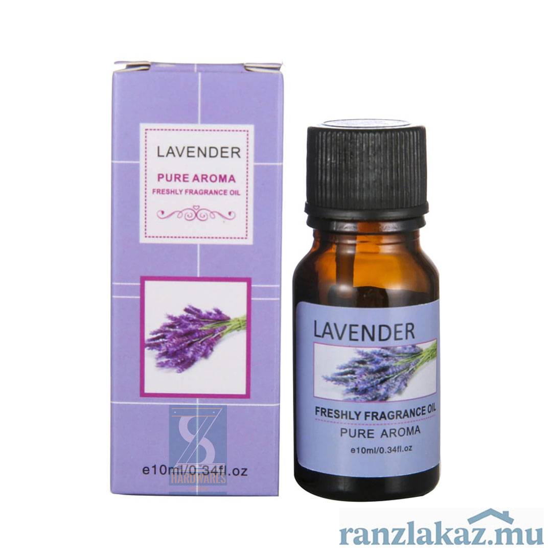 Lavender (ZS368)