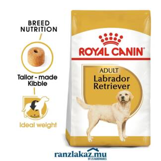 Labrador