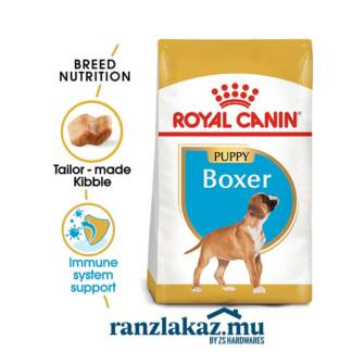 Boxer
