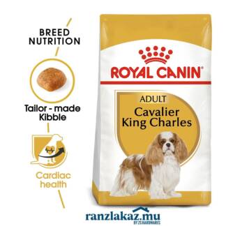 Cavalier