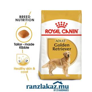 Golden Retriever