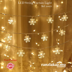 LED Light