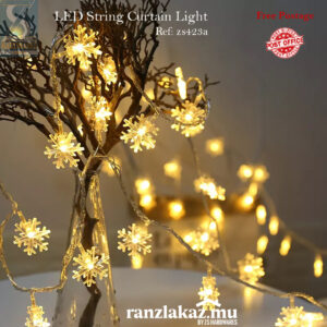 LED Light
